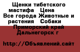 Щенки тибетского мастифа › Цена ­ 80 - Все города Животные и растения » Собаки   . Приморский край,Дальнегорск г.